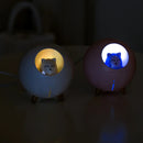 Two orb-shaped Planet Cat humidifiers, plastic with wooden feet. One off-white with a warm yellow smiling cat night light, the other pink with a cool blue smiling cat night light. Real product photo.